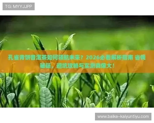 大型赛事预热开云怎么做代理防骗避坑指南